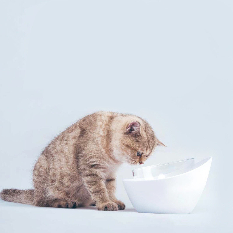 Grondige kattenvoerbakken en brede kattenbak plus niet-glijdende kattenvoerbak
