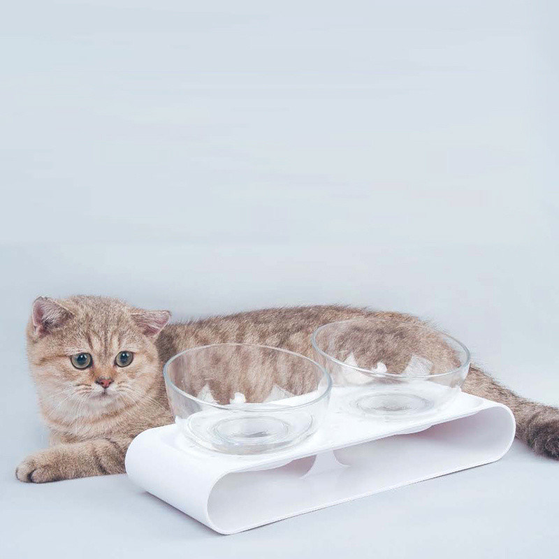 Kattenvoedselschaal voor de verlichting van snorvermoeidheid